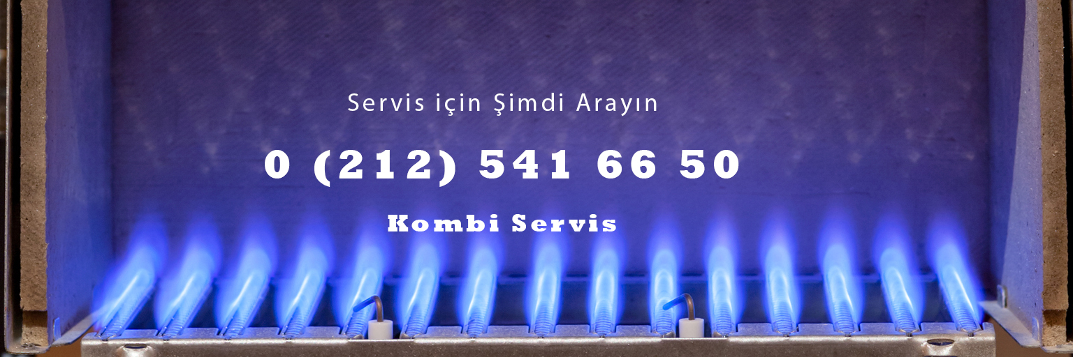 Beşiktaş Alarko Kombi Servisi
